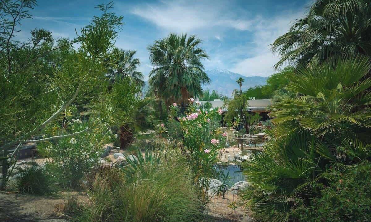 Photo of Others in Desert Hot Springs