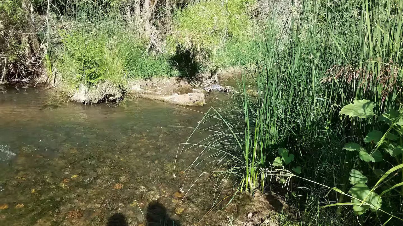 Photo of Others in Cottonwood-Verde Village