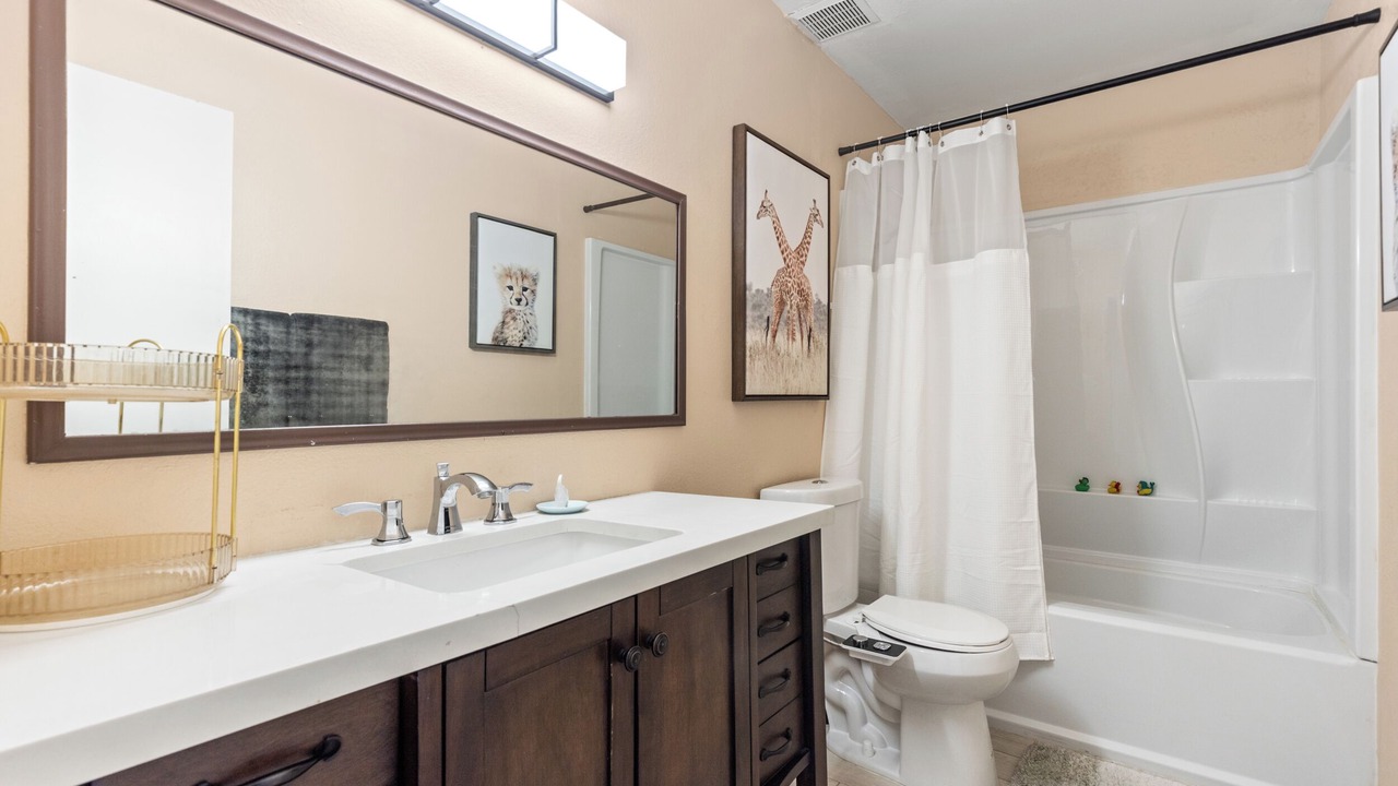 Photo of Bathroom in Charleston Preservation