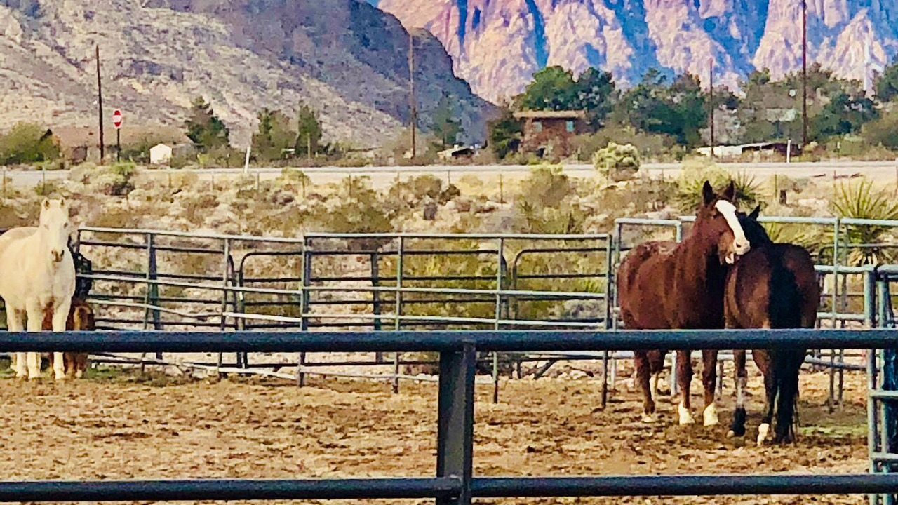 Photo of Others in Las Vegas