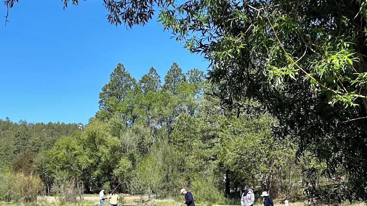 Photo of Others in Flagstaff