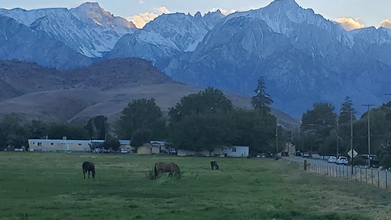 Photo of Others in Lone Pine