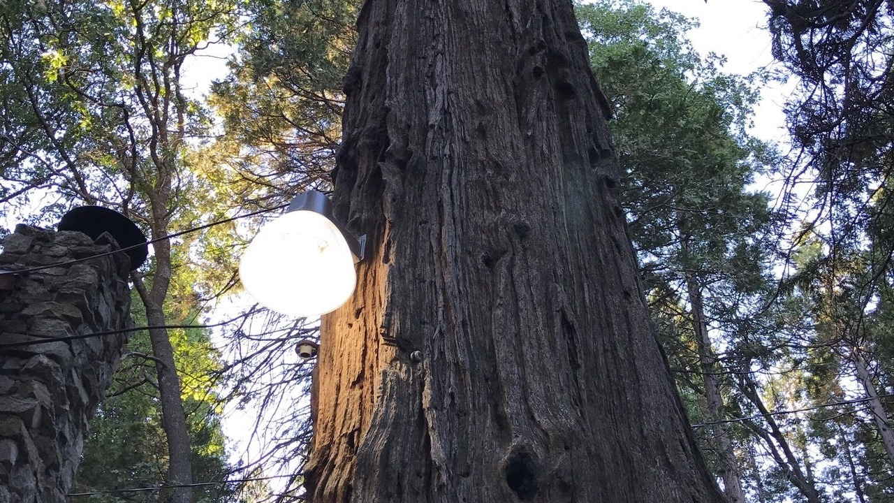 Photo of Outdoor in Alta Sierra