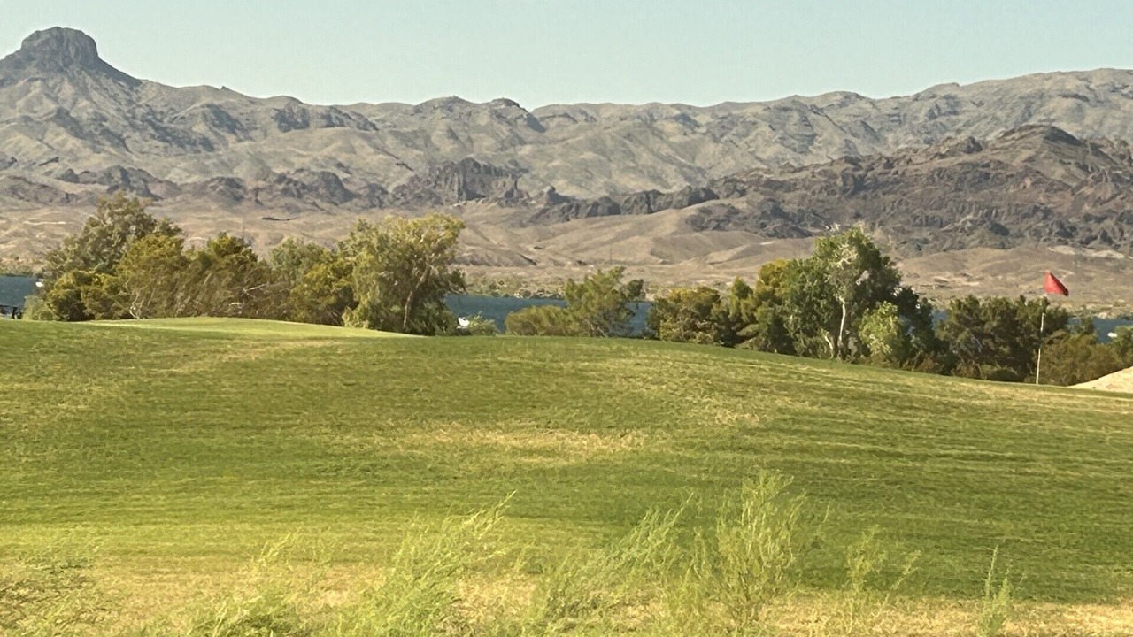 Photo of Others in Lake Havasu City