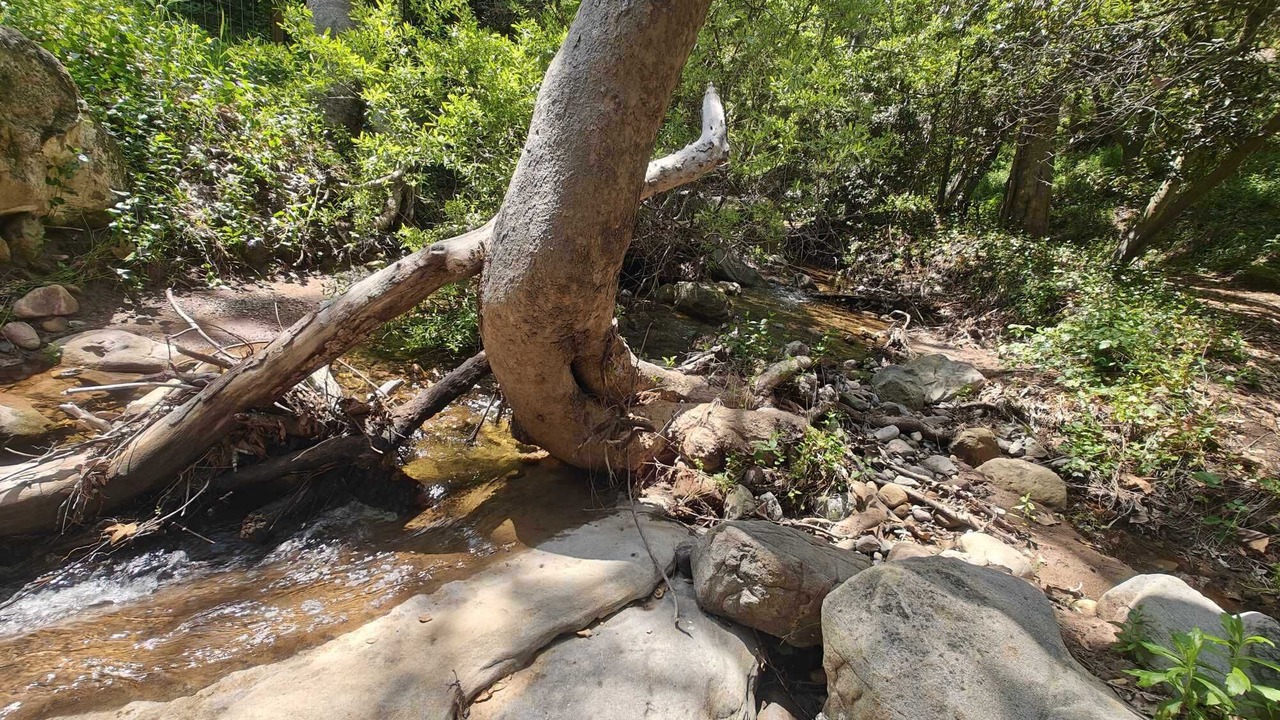 Photo of Others in Topanga
