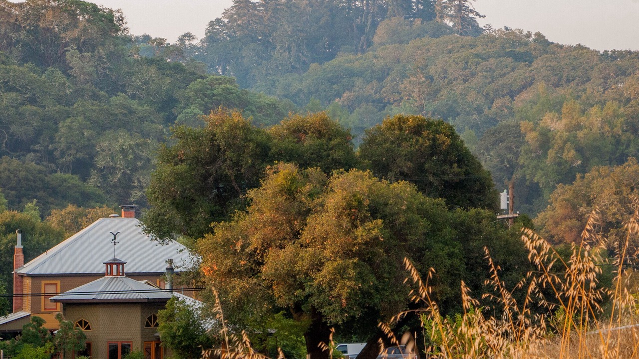 Photo of Others in Ukiah