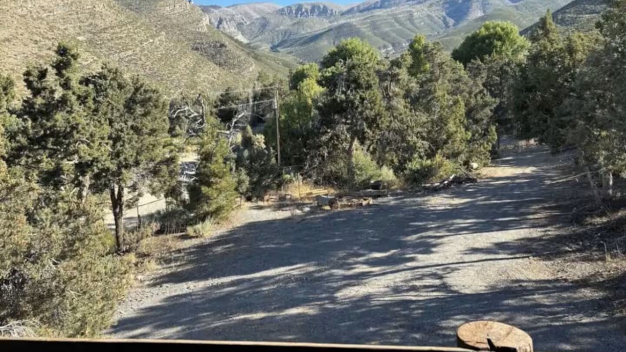 Photo of Outdoor in Mount Charleston