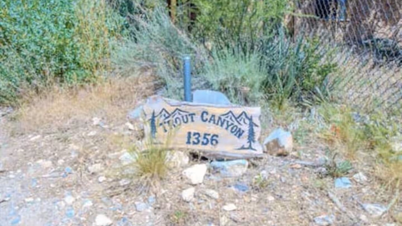 Photo of Others in Mount Charleston