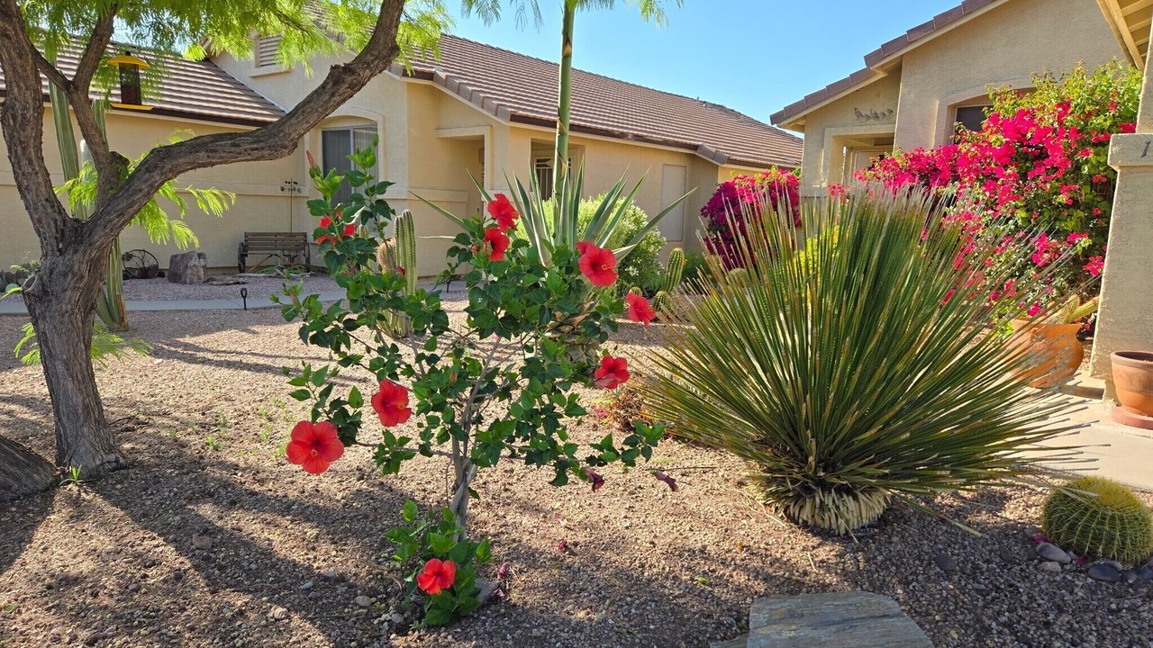 Photo of Outdoor in Gold Canyon