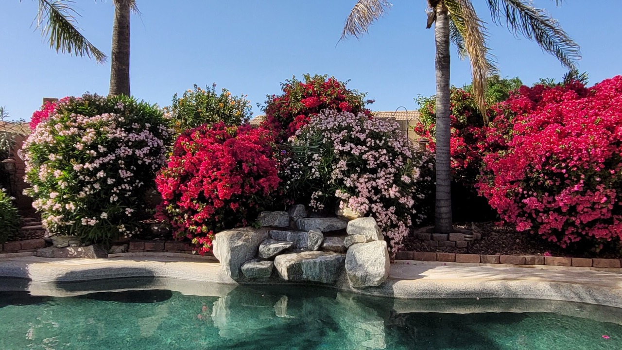 Photo of Outdoor in Gold Canyon