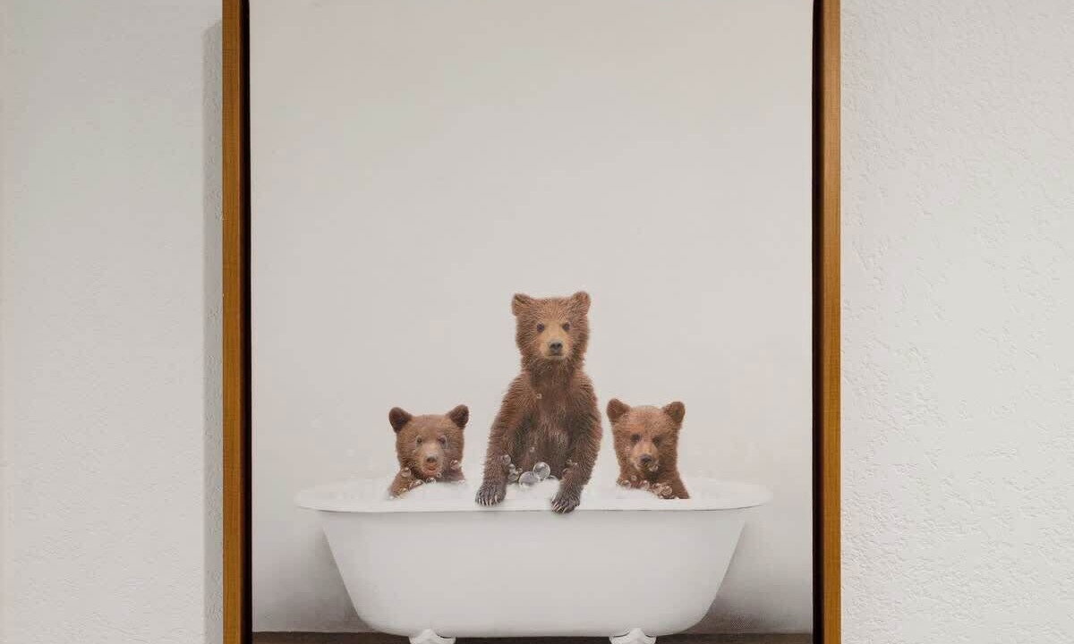 Photo of Others in Fox Farm