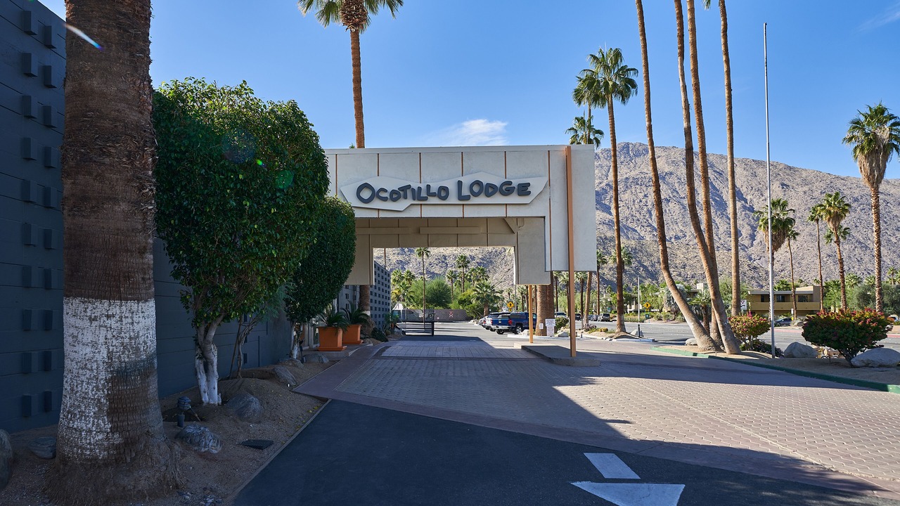 Photo of Others in Twin Palms