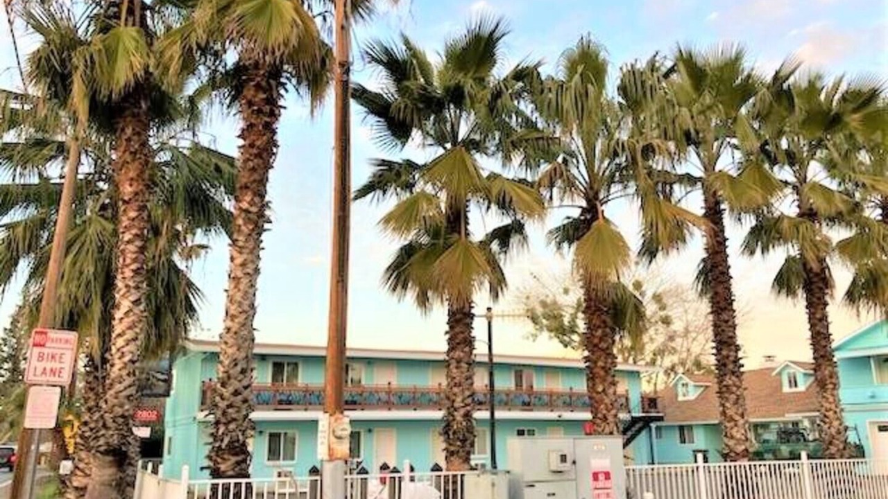 Photo of Outdoor in North Lakeport