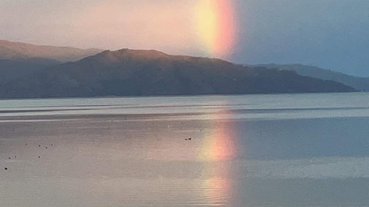 Photo of Others in North Lakeport