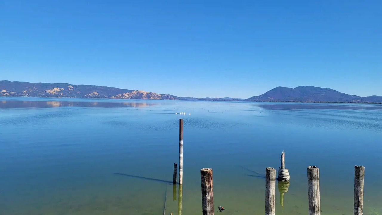 Photo of Others in North Lakeport