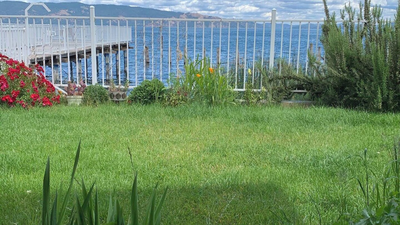 Photo of Outdoor in North Lakeport