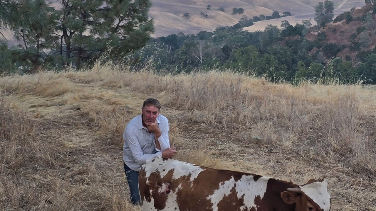 Photo of Outdoor in Hollister