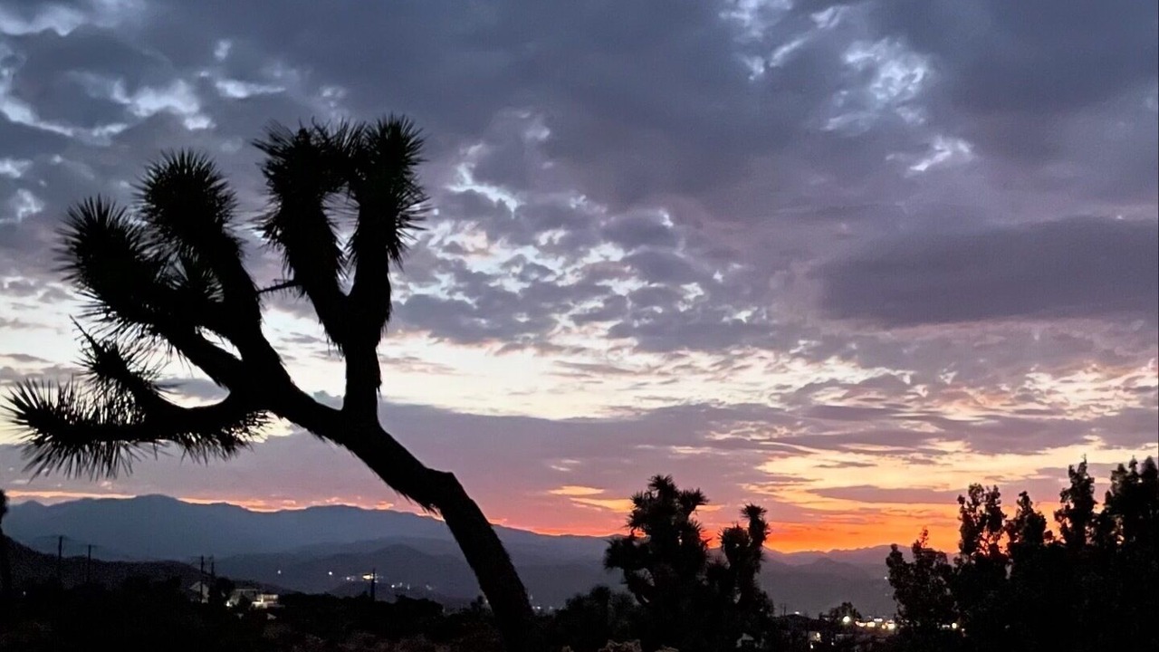 Photo of Others in Yucca Valley
