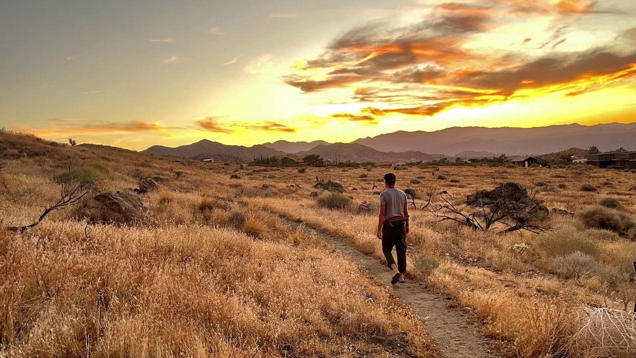 Photo of Others in Yucca Valley