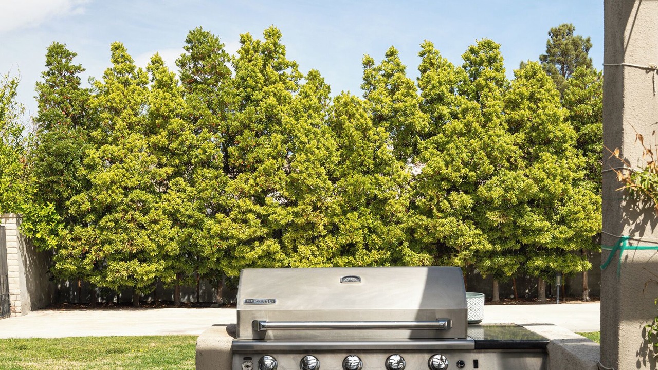 Photo of Outdoor in Spring Valley