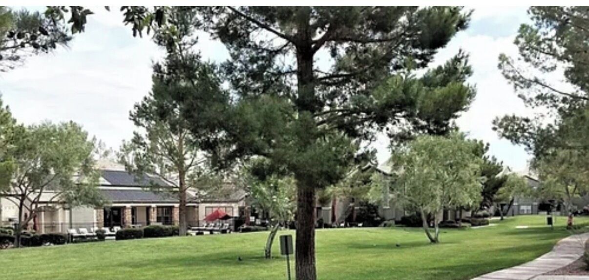 Photo of Outdoor in Silverado Ranch
