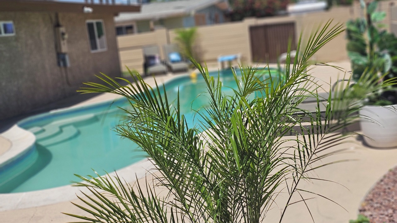 Photo of Outdoor in Downtown Las Vegas