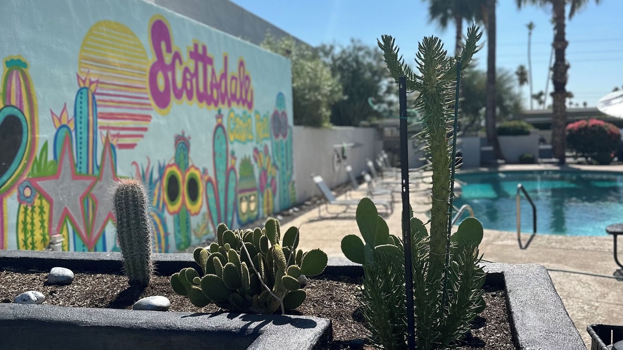 Photo of Outdoor in Scottsdale Estates Nine