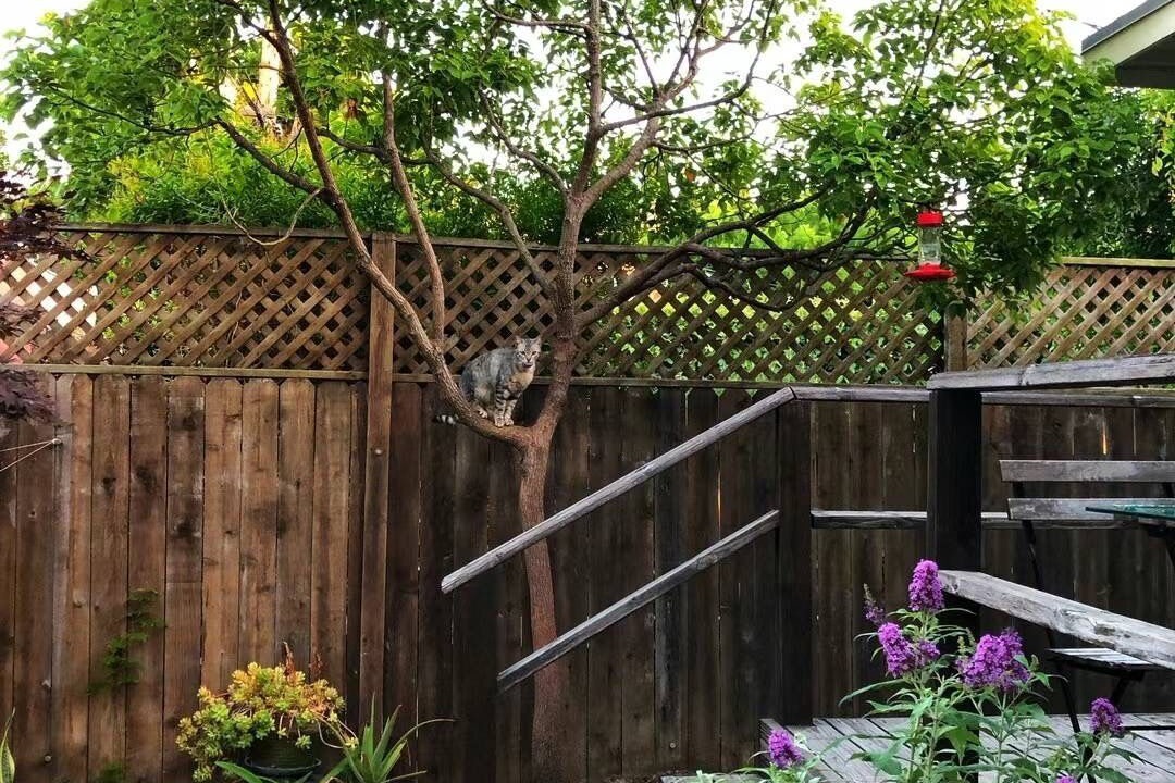 Photo of Outdoor in Eastside