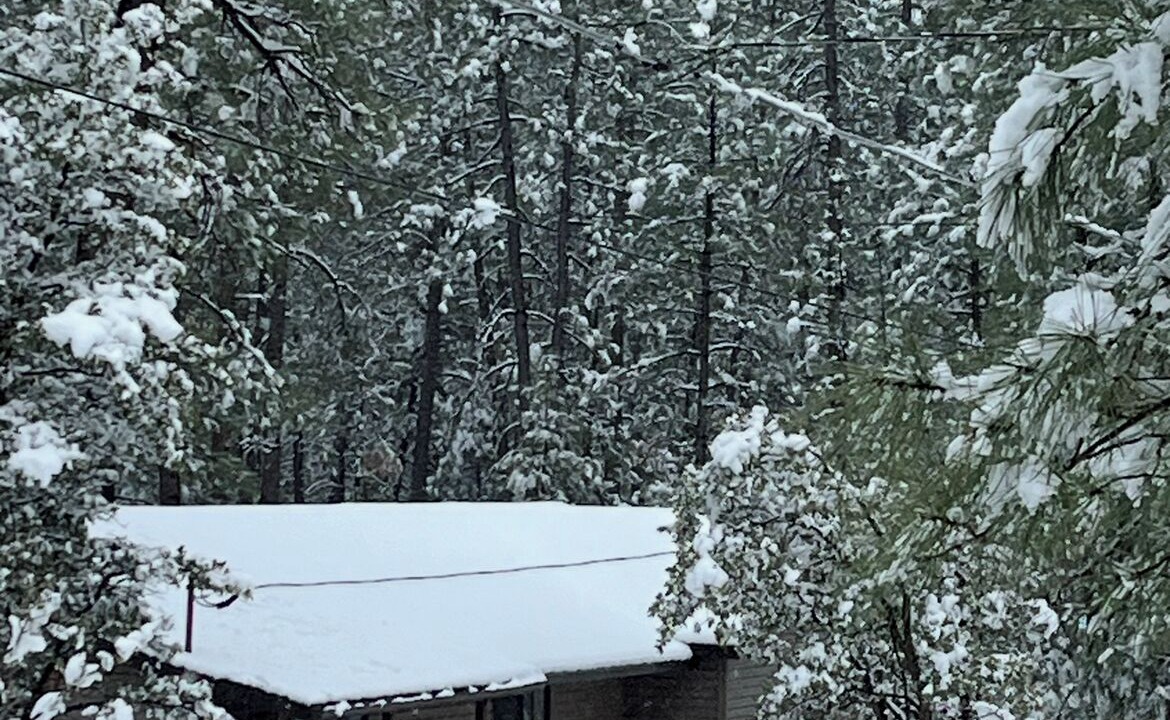 Photo of Outdoor in Strawberry
