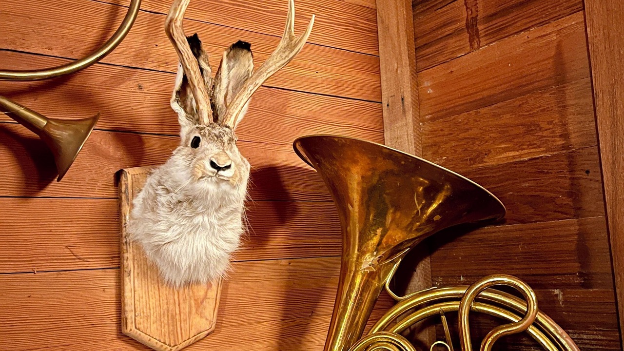 Photo of Others in Anderson Valley