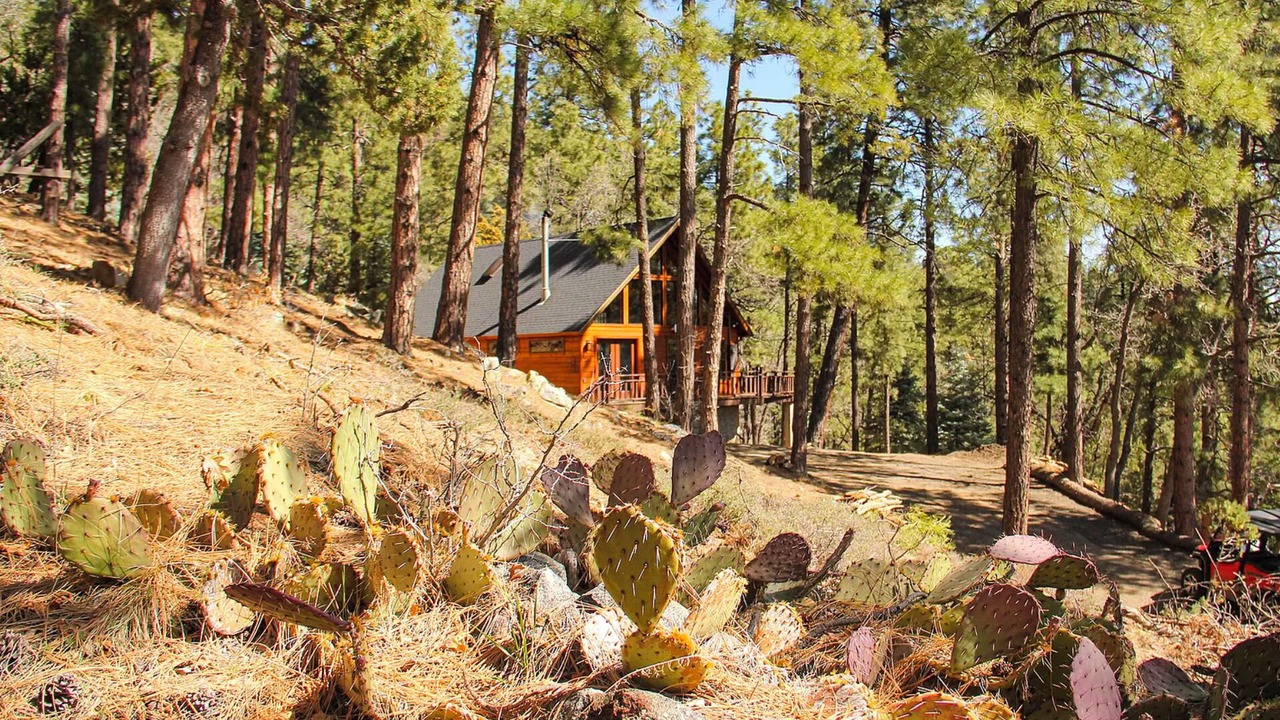 Photo of Outdoor in Prescott