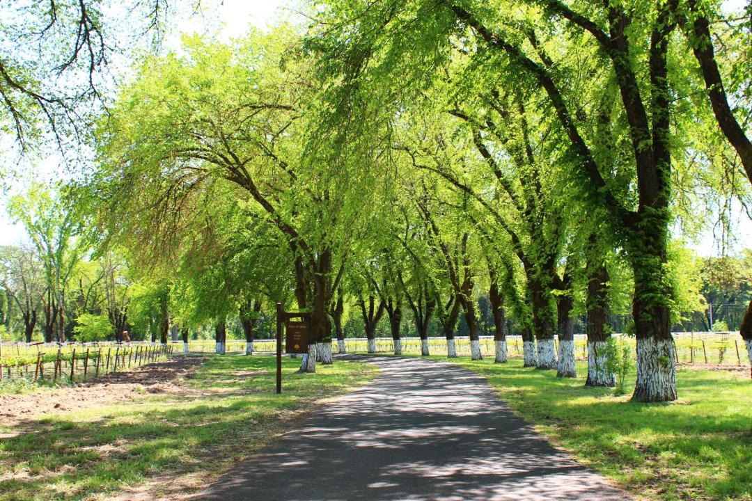 Photo of Others in Ukiah