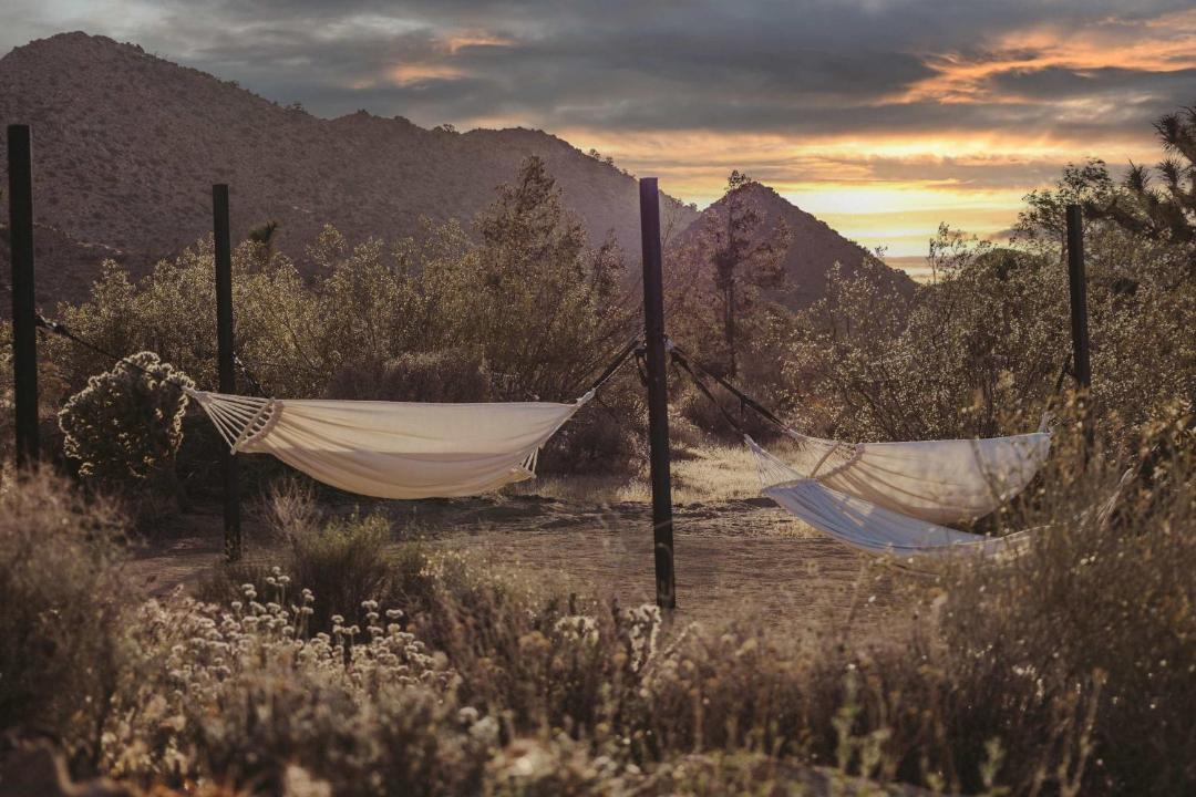 Photo of Others in Joshua Tree Highlands