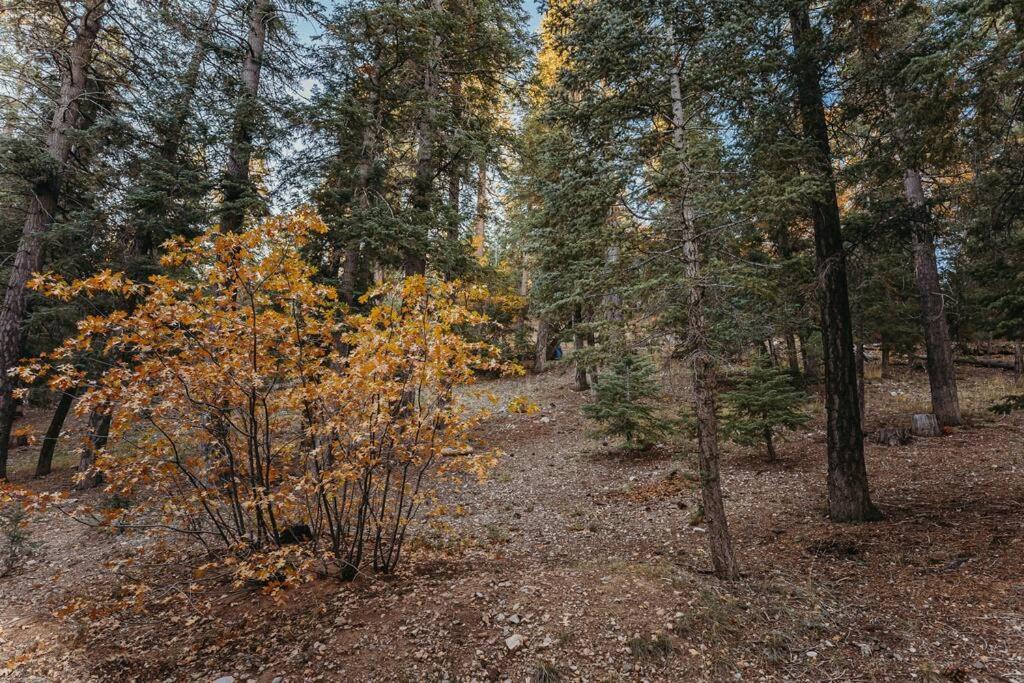 Photo of Others in Upper Moonridge