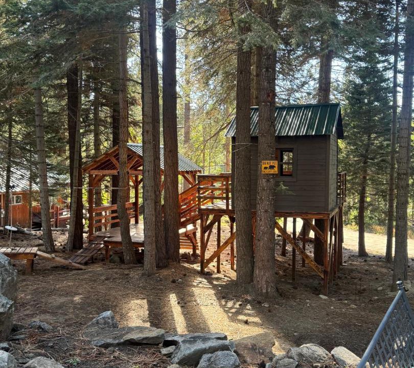 Photo of Others in Ponderosa