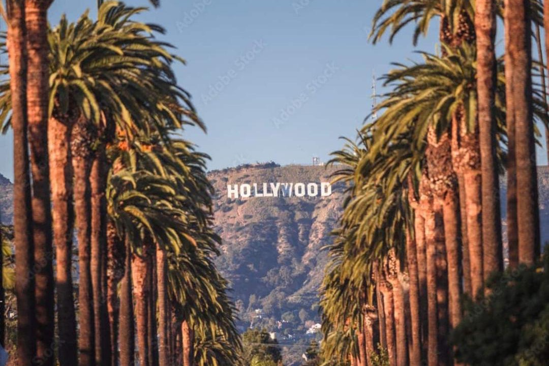 Photo of Others in Hollywood