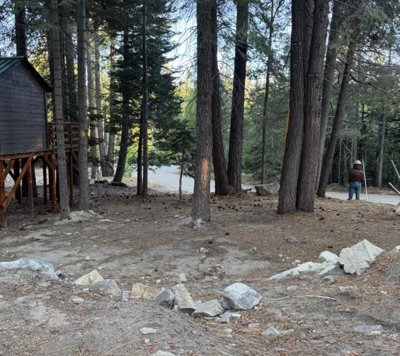 Photo of Others in Ponderosa