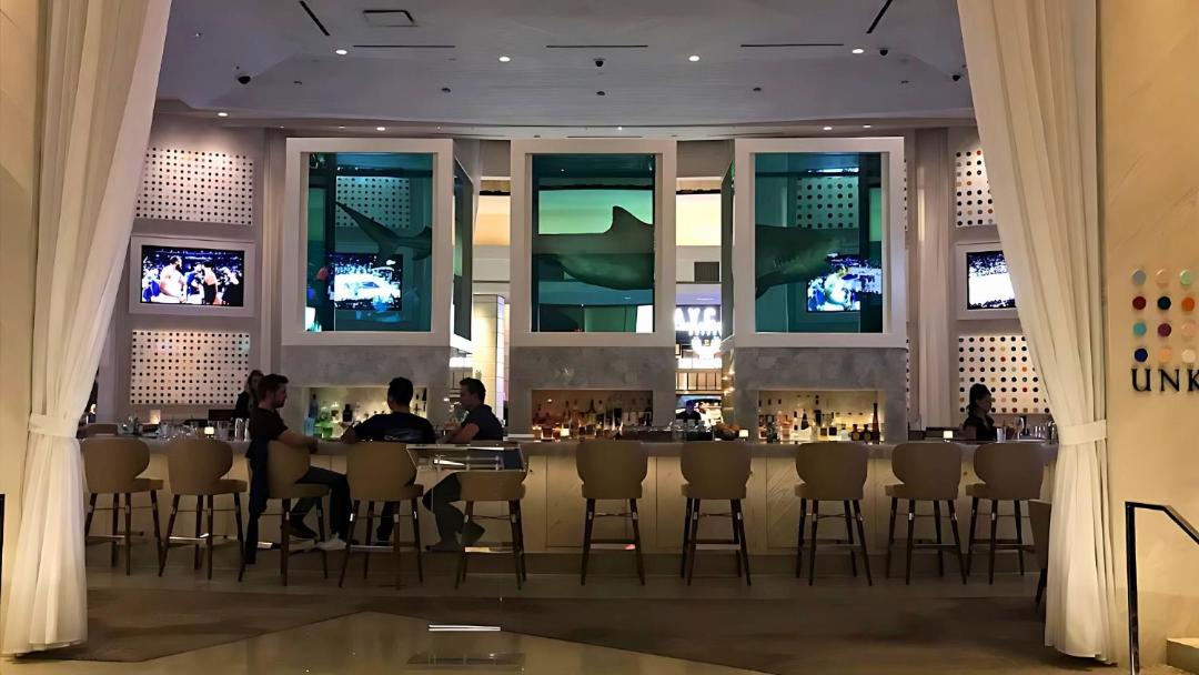 Photo of Others in Las Vegas
