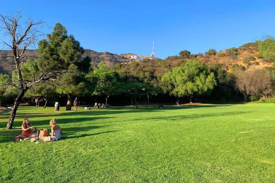 Photo of Others in Hollywoodland