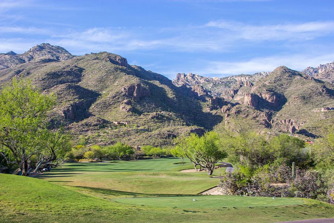 Photo of Others in Tucson