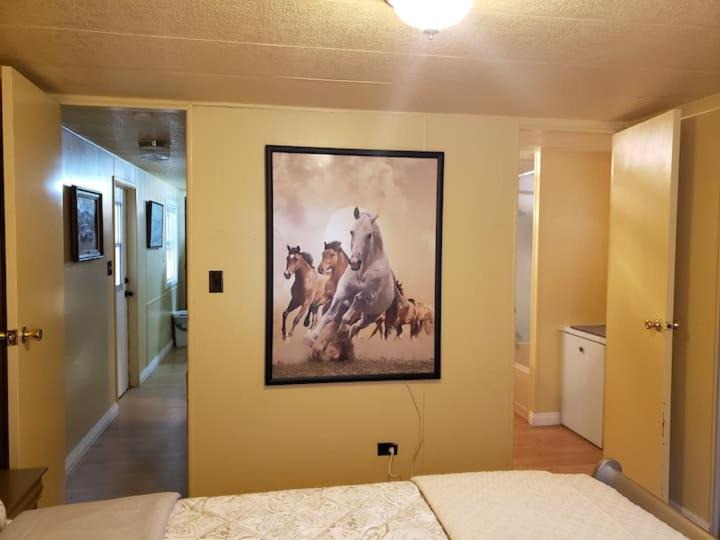 Photo of Others in Pahrump