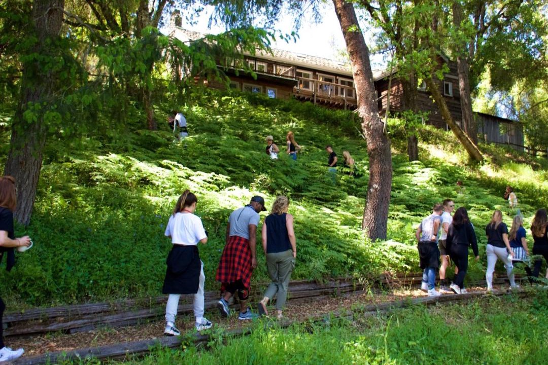 Photo of Others in Anderson Valley