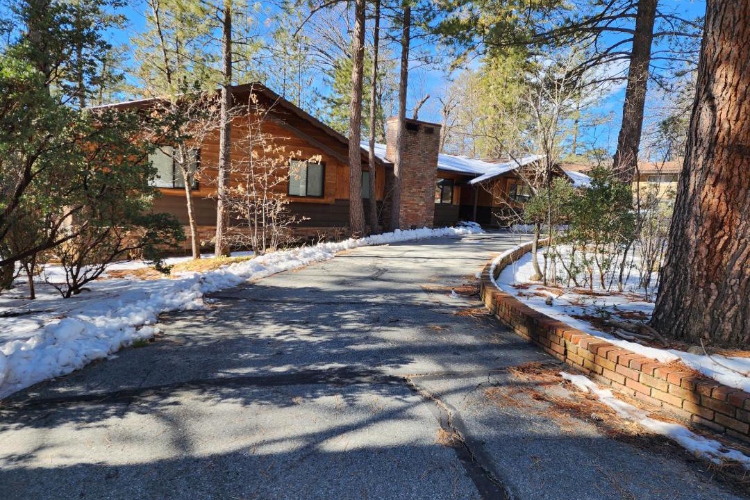 Photo of Others in Idyllwild