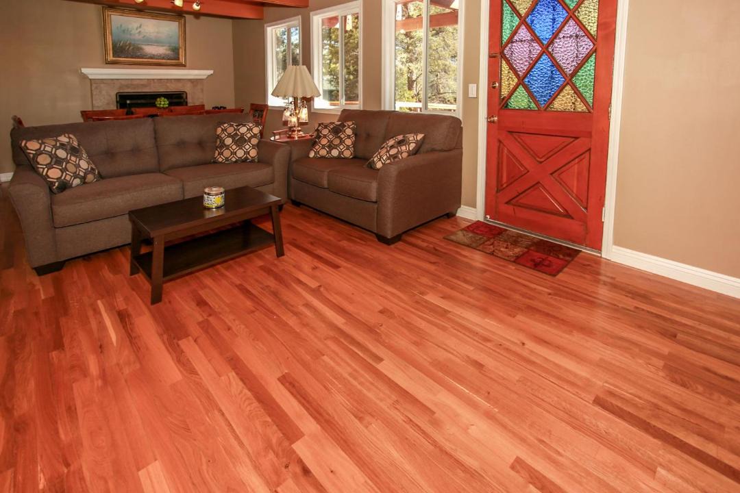 Photo of Livingroom in Whispering Forest