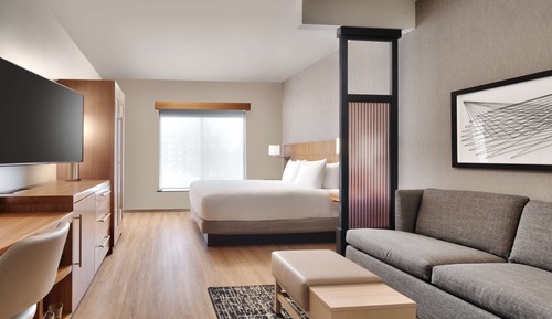 Room, 1 King Bed with Sofa bed