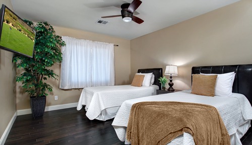 Studio (Multiple Bedrooms)