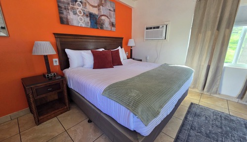 Standard Room, Pets Allowed