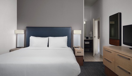 Room, 1 King Bed with Sofa bed