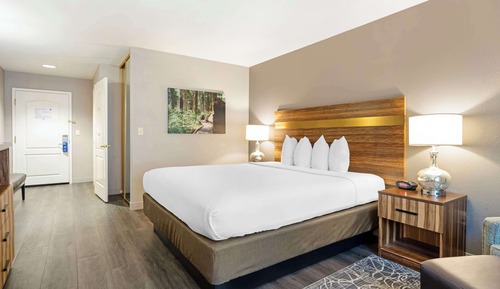 Standard Room, 1 King Bed, Accessible, Non Smoking