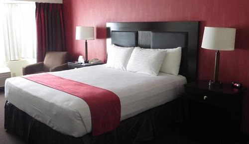 Standard Room, 1 King Bed, Non Smoking